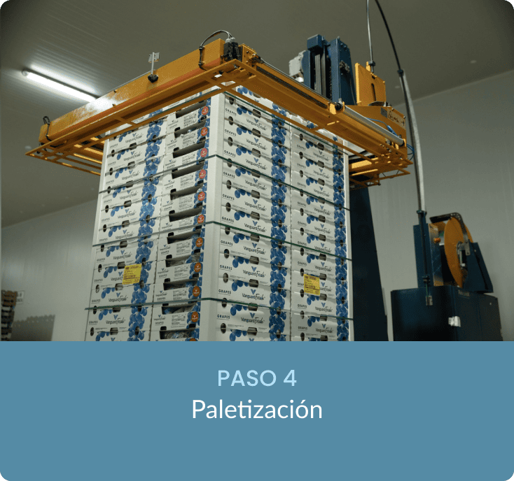 Fotograma 139