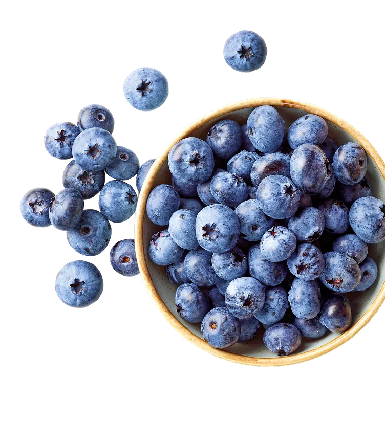 bowl-of-fresh-blueberries-2024-10-18-13-22-44-utc 2